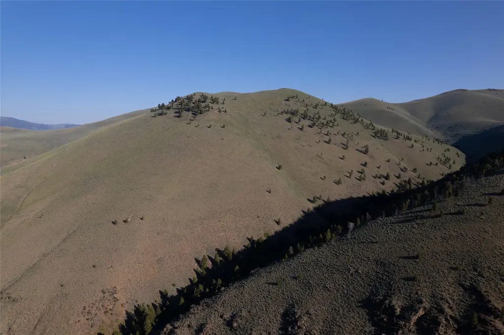 Tbd Soap Gulch Road Melrose MT 59743