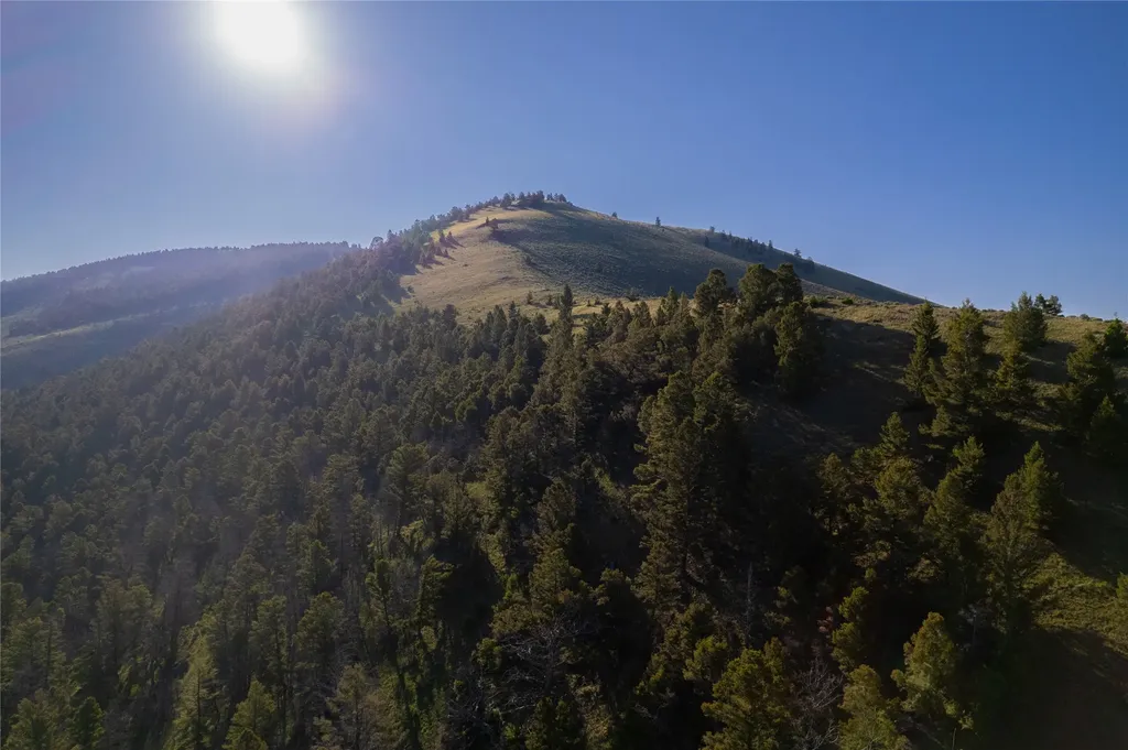 Tbd Soap Gulch Road Melrose MT 59743
