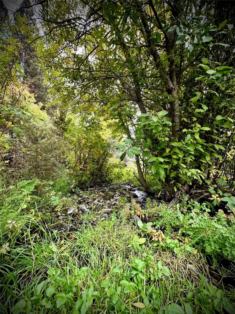 Tbd Soap Gulch Road Melrose MT 59743
