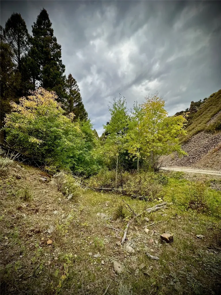 Tbd Soap Gulch Road Melrose MT 59743