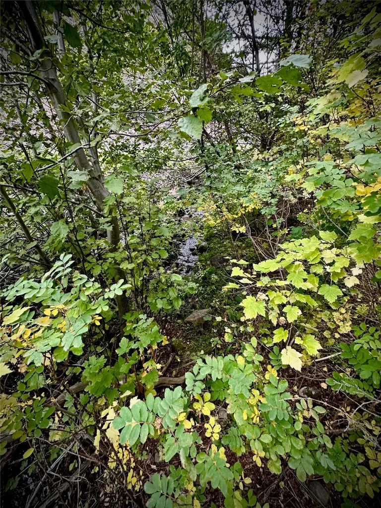 Tbd Soap Gulch Road Melrose MT 59743