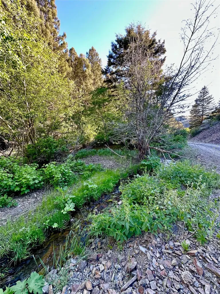 Tbd Soap Gulch Road Melrose MT 59743