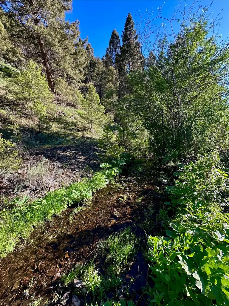 Tbd Soap Gulch Road Melrose MT 59743