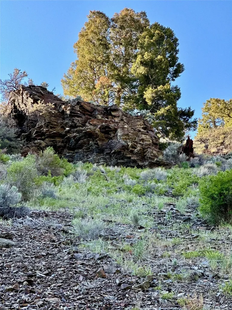 Tbd Soap Gulch Road Melrose MT 59743
