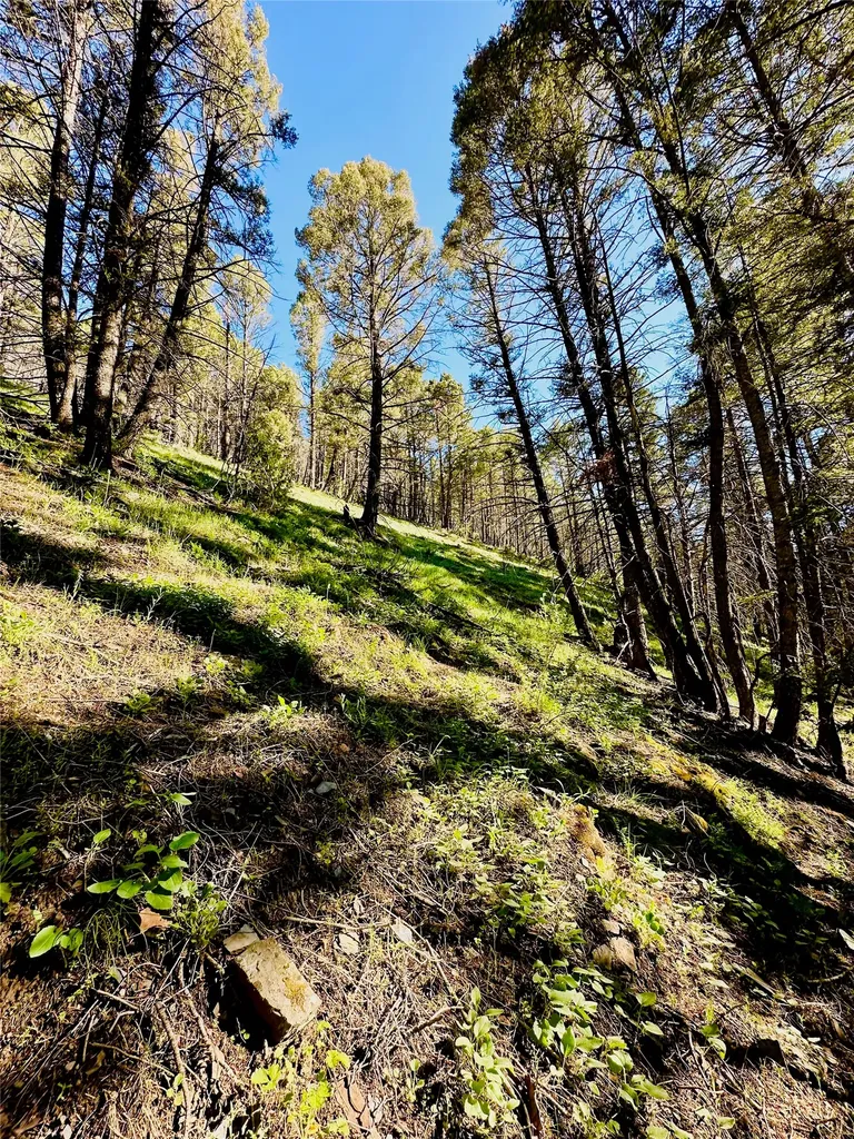 Tbd Soap Gulch Road Melrose MT 59743