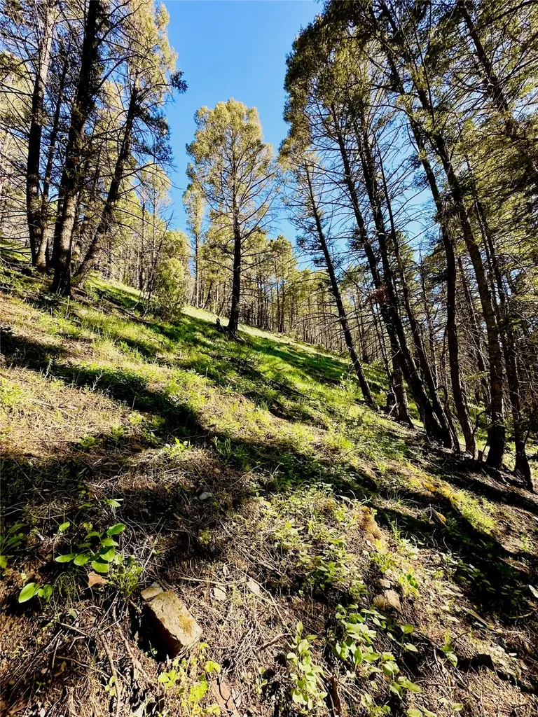 Tbd Soap Gulch Road Melrose MT 59743