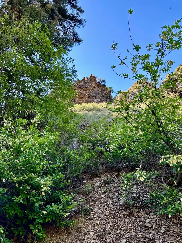 Tbd Soap Gulch Road Melrose MT 59743