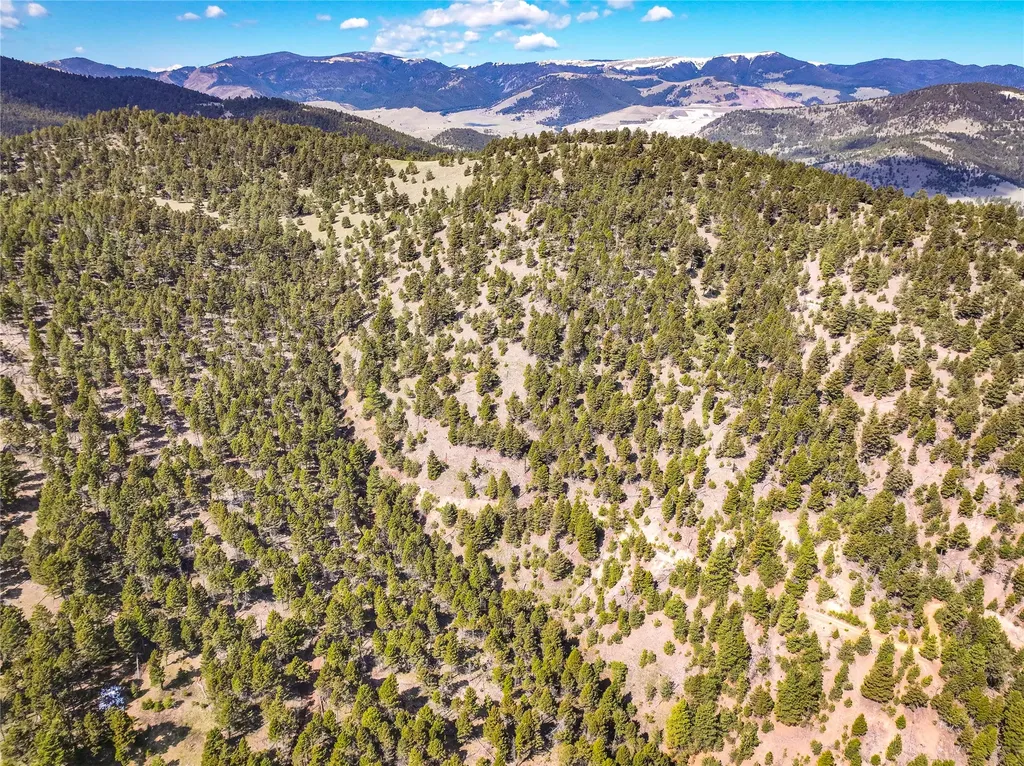 Tbd (36.4 +/- Ac) Elkhorn Mountain View Road Jefferson City MT 59638