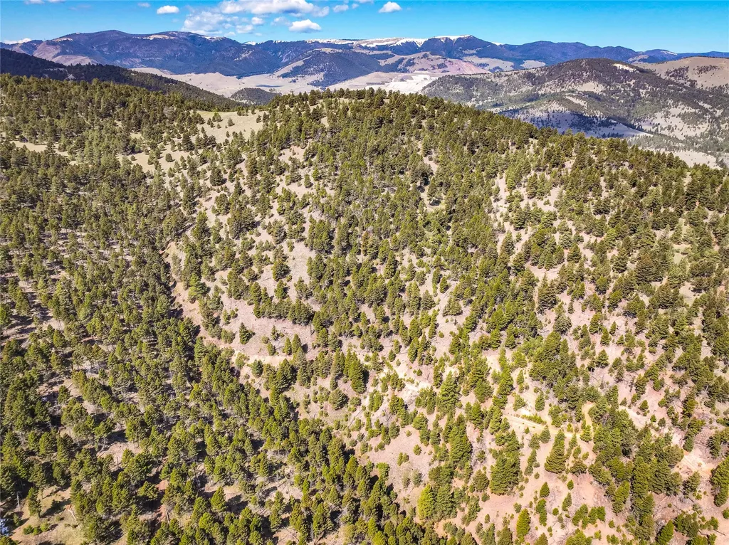 Tbd (36.4 +/- Ac) Elkhorn Mountain View Road Jefferson City MT 59638