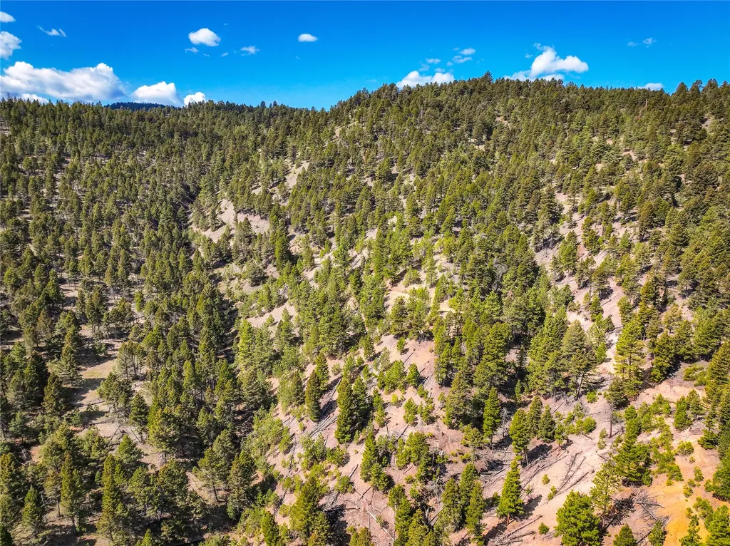Tbd (36.4 +/- Ac) Elkhorn Mountain View Road Jefferson City MT 59638
