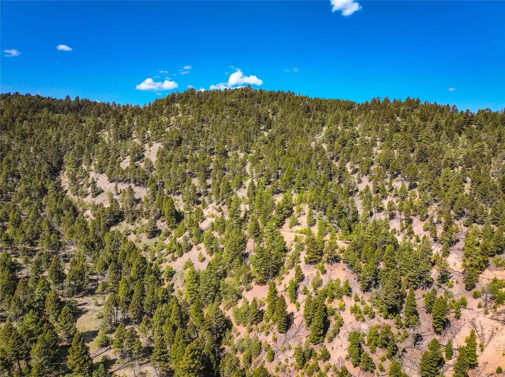 Tbd (36.4 +/- Ac) Elkhorn Mountain View Road Jefferson City MT 59638