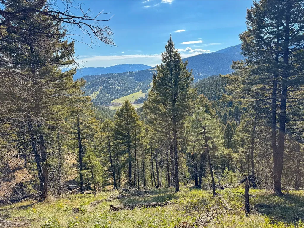 Tbd (36.4 +/- Ac) Elkhorn Mountain View Road Jefferson City MT 59638