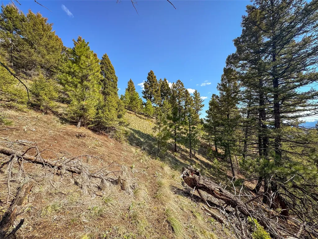 Tbd (36.4 +/- Ac) Elkhorn Mountain View Road Jefferson City MT 59638