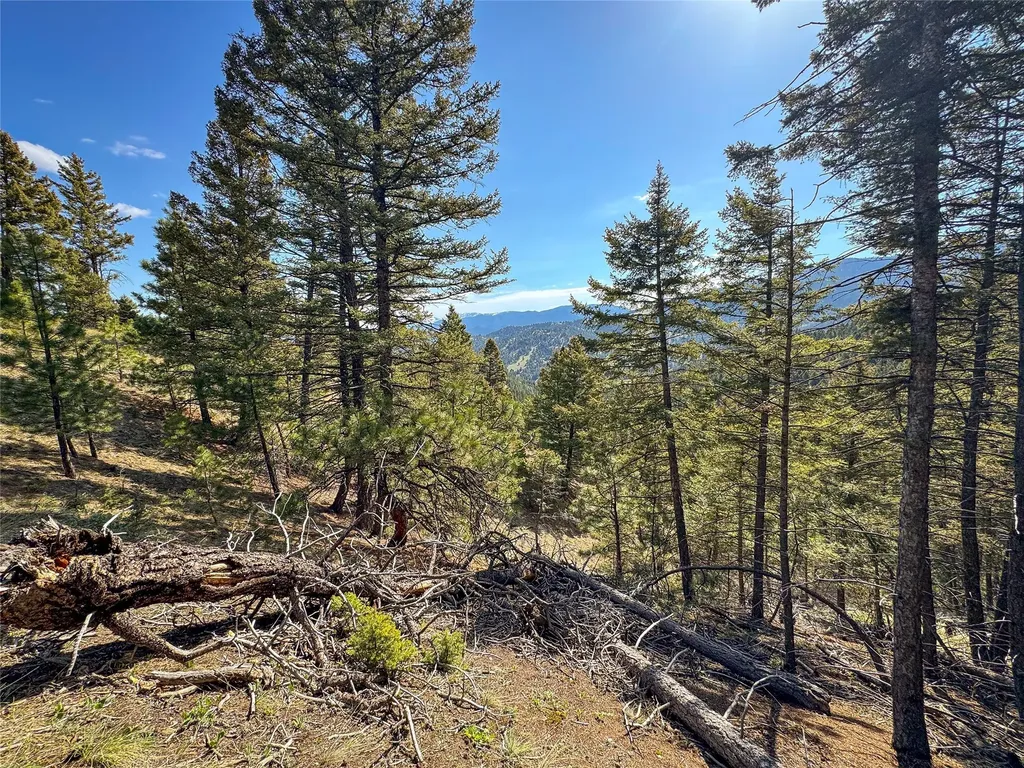 Tbd (36.4 +/- Ac) Elkhorn Mountain View Road Jefferson City MT 59638
