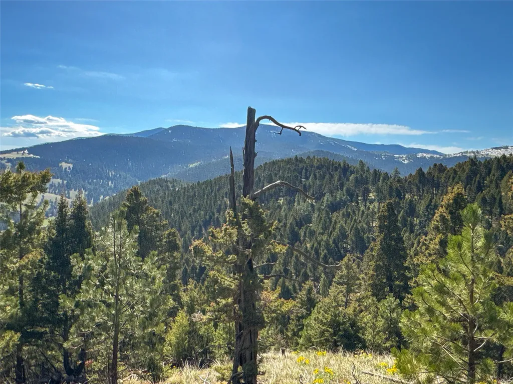 Tbd (36.4 +/- Ac) Elkhorn Mountain View Road Jefferson City MT 59638