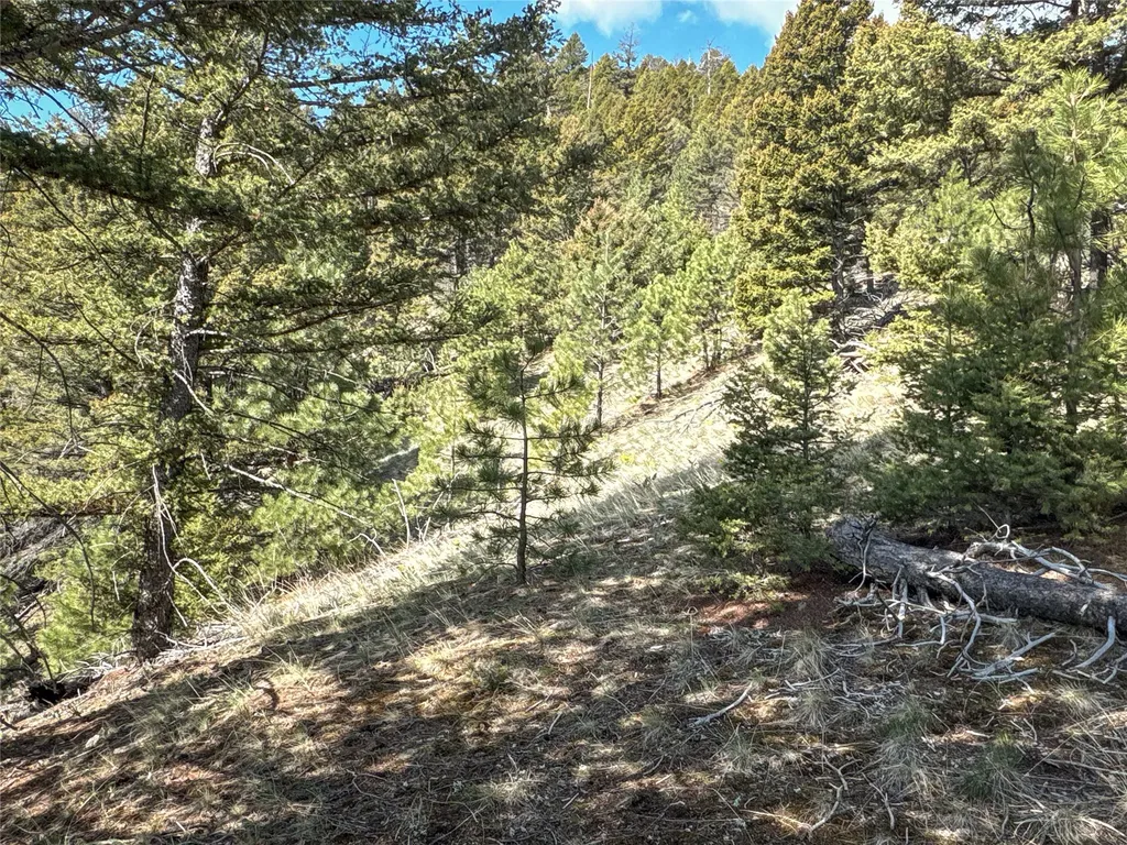 Tbd (36.4 +/- Ac) Elkhorn Mountain View Road Jefferson City MT 59638