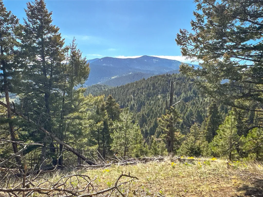 Tbd (36.4 +/- Ac) Elkhorn Mountain View Road Jefferson City MT 59638