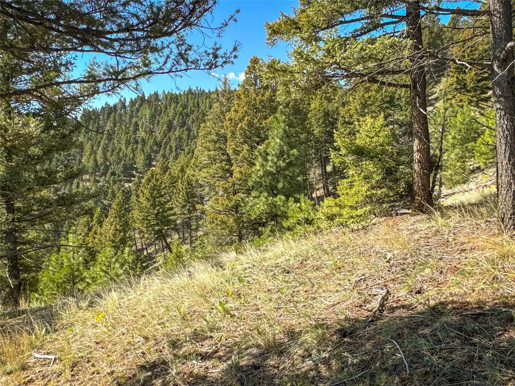 Tbd (36.4 +/- Ac) Elkhorn Mountain View Road Jefferson City MT 59638