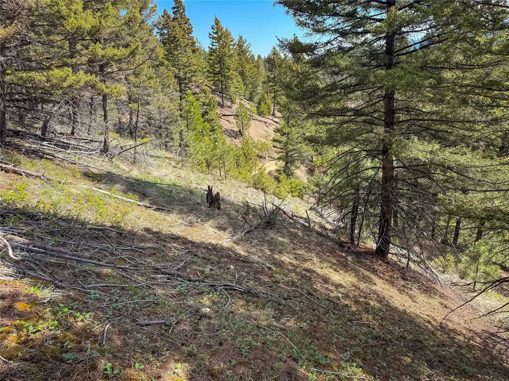 Tbd (36.4 +/- Ac) Elkhorn Mountain View Road Jefferson City MT 59638