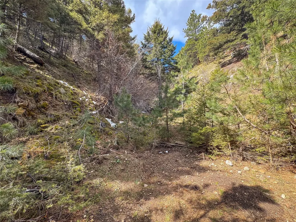 Tbd (36.4 +/- Ac) Elkhorn Mountain View Road Jefferson City MT 59638