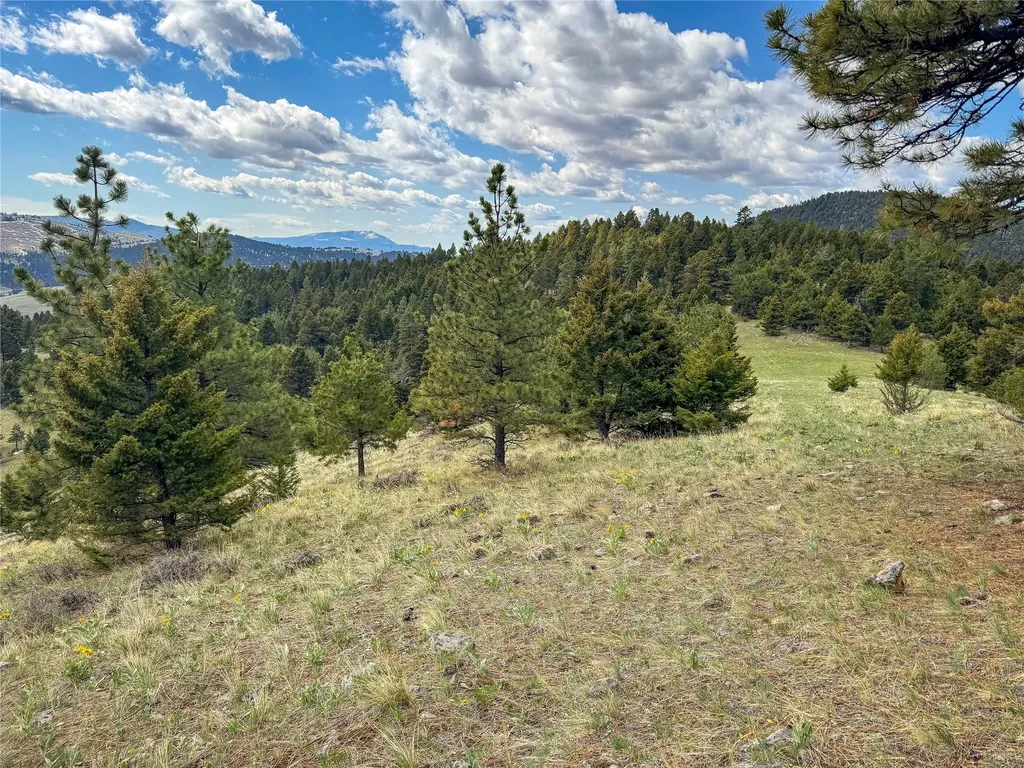 Tbd (36.4 +/- Ac) Elkhorn Mountain View Road Jefferson City MT 59638