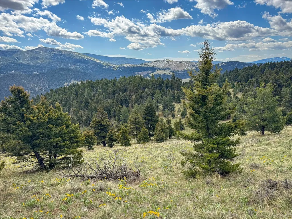 Tbd (36.4 +/- Ac) Elkhorn Mountain View Road Jefferson City MT 59638