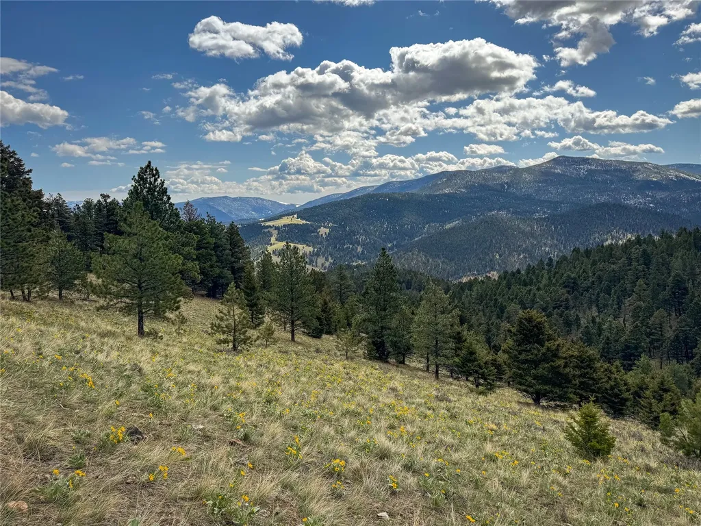 Tbd (36.4 +/- Ac) Elkhorn Mountain View Road Jefferson City MT 59638