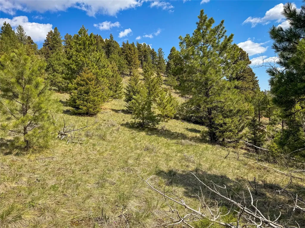 Tbd (36.4 +/- Ac) Elkhorn Mountain View Road Jefferson City MT 59638