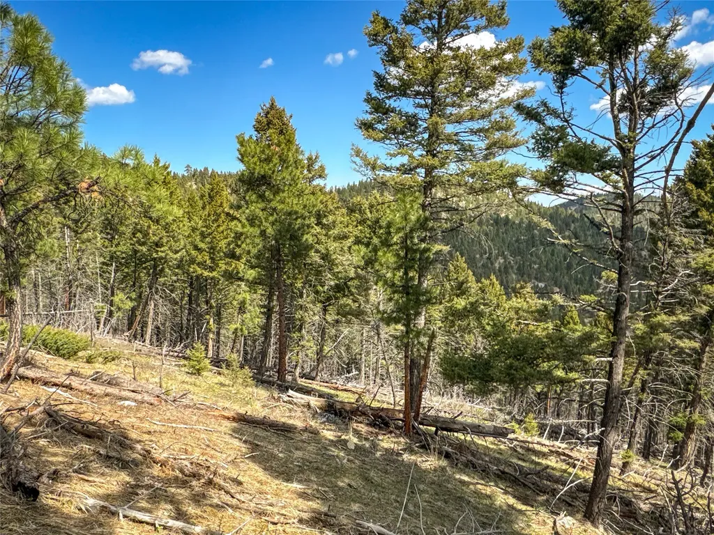 Tbd (36.4 +/- Ac) Elkhorn Mountain View Road Jefferson City MT 59638