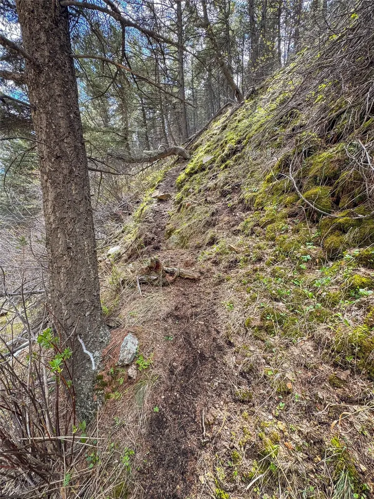 Tbd (36.4 +/- Ac) Elkhorn Mountain View Road Jefferson City MT 59638