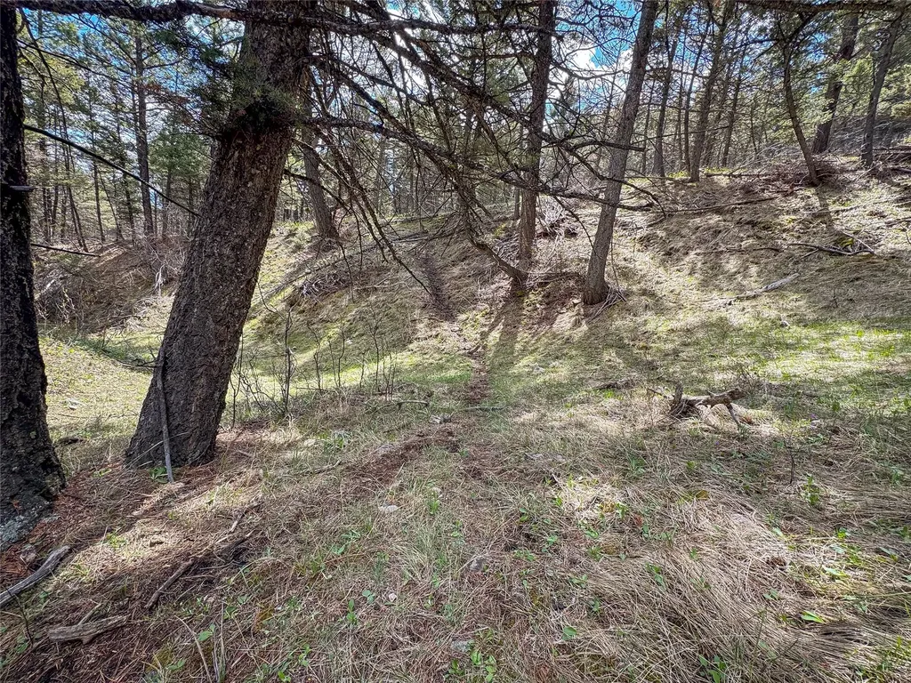Tbd (36.4 +/- Ac) Elkhorn Mountain View Road Jefferson City MT 59638