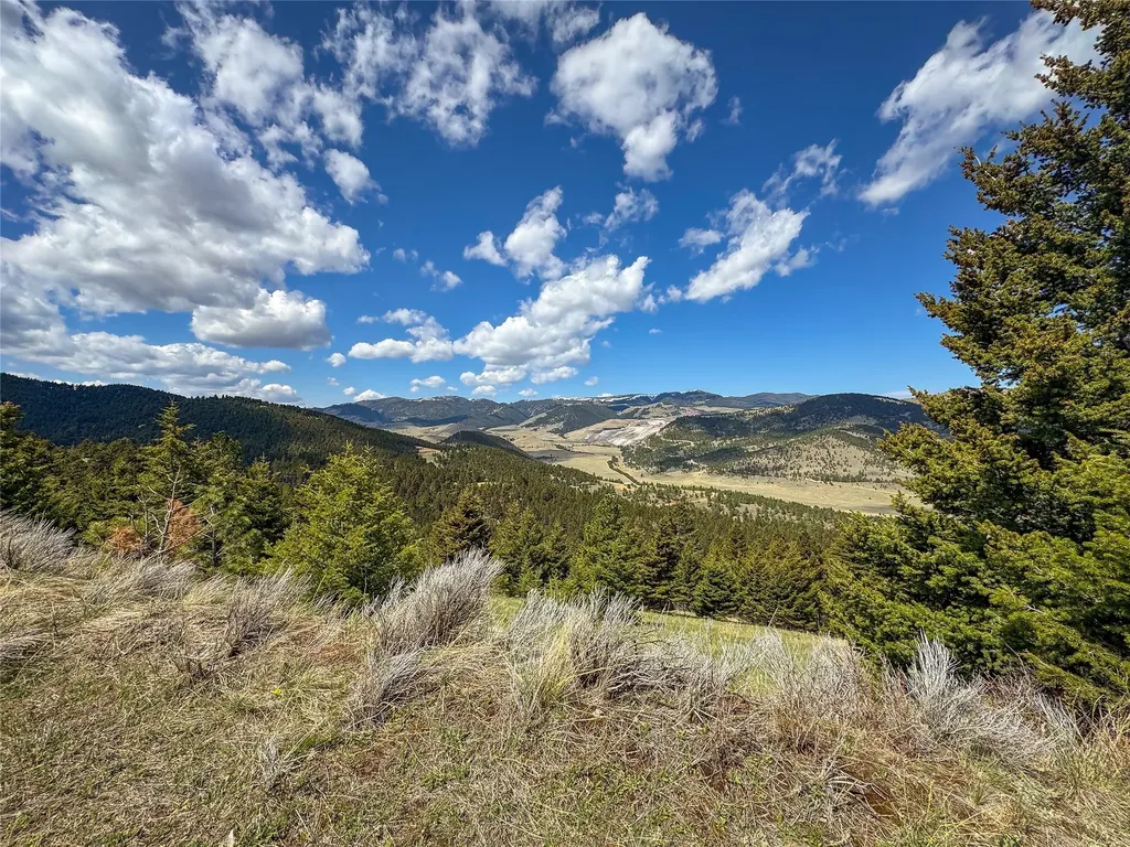 Tbd (36.4 +/- Ac) Elkhorn Mountain View Road Jefferson City MT 59638