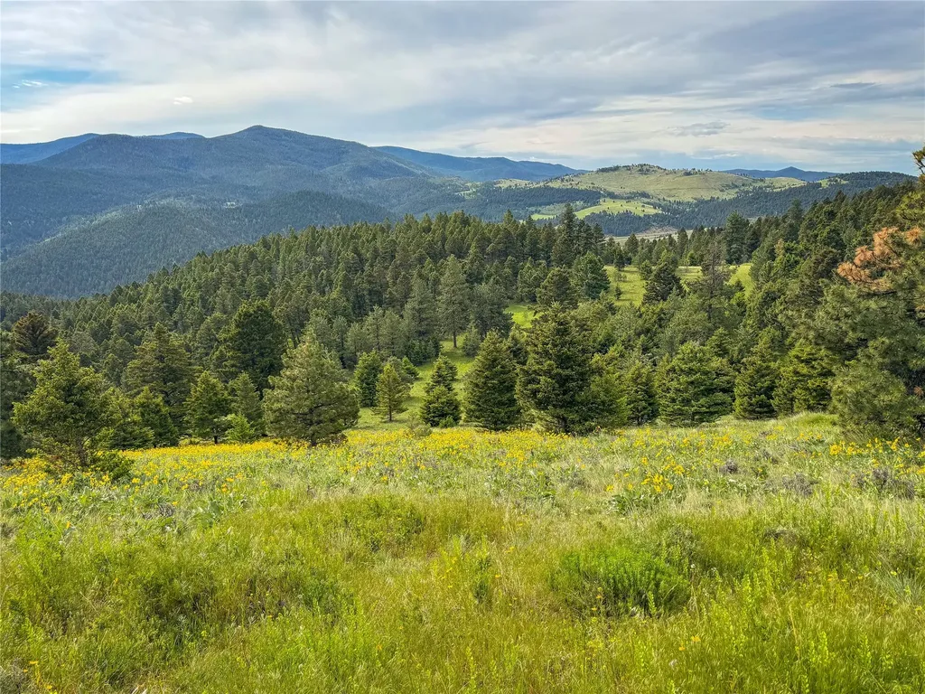 Tbd (36.4 +/- Ac) Elkhorn Mountain View Road Jefferson City MT 59638