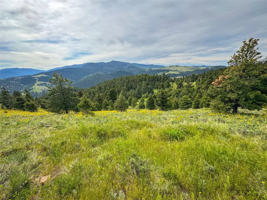 Tbd (36.4 +/- Ac) Elkhorn Mountain View Road Jefferson City MT 59638