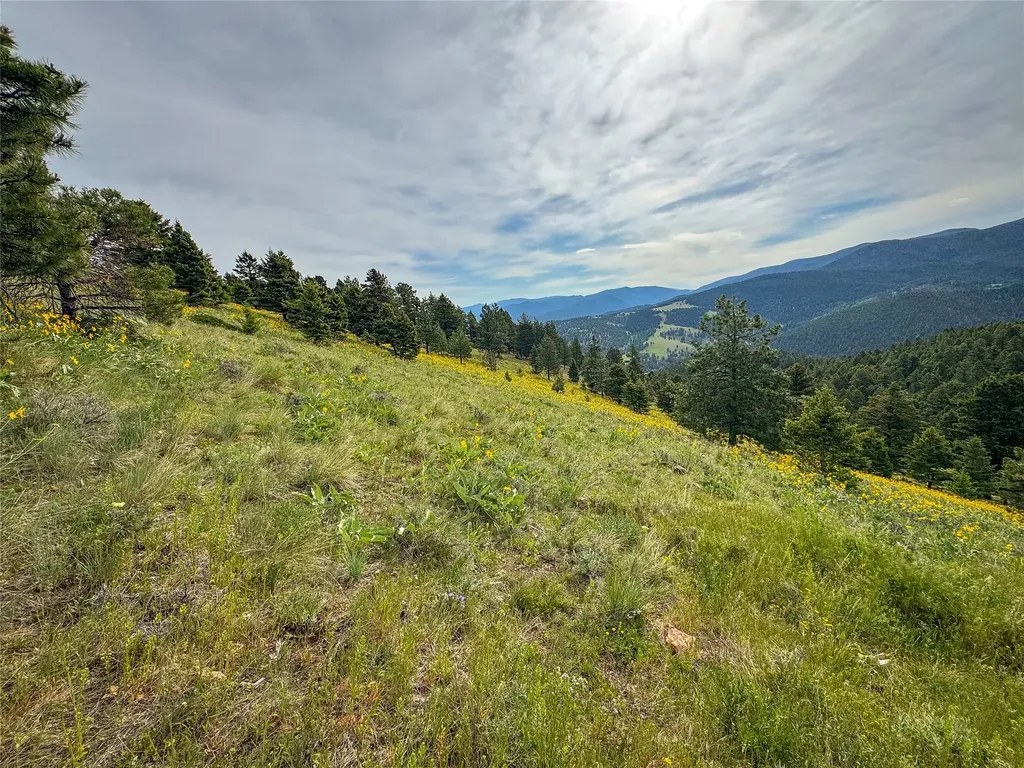 Tbd (36.4 +/- Ac) Elkhorn Mountain View Road Jefferson City MT 59638