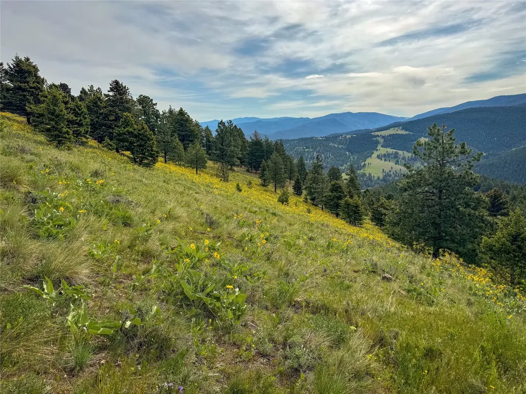 Tbd (36.4 +/- Ac) Elkhorn Mountain View Road Jefferson City MT 59638