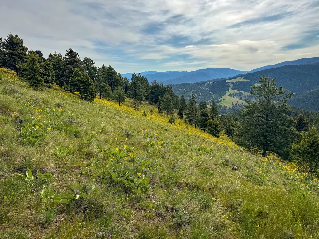 Tbd (36.4 +/- Ac) Elkhorn Mountain View Road Jefferson City MT 59638