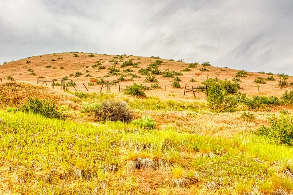 4310 Dugout Gulch Road Darby MT 59829