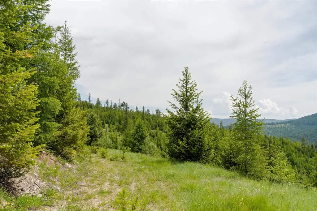 Nhn Fish Creek Road Kalispell MT 59901