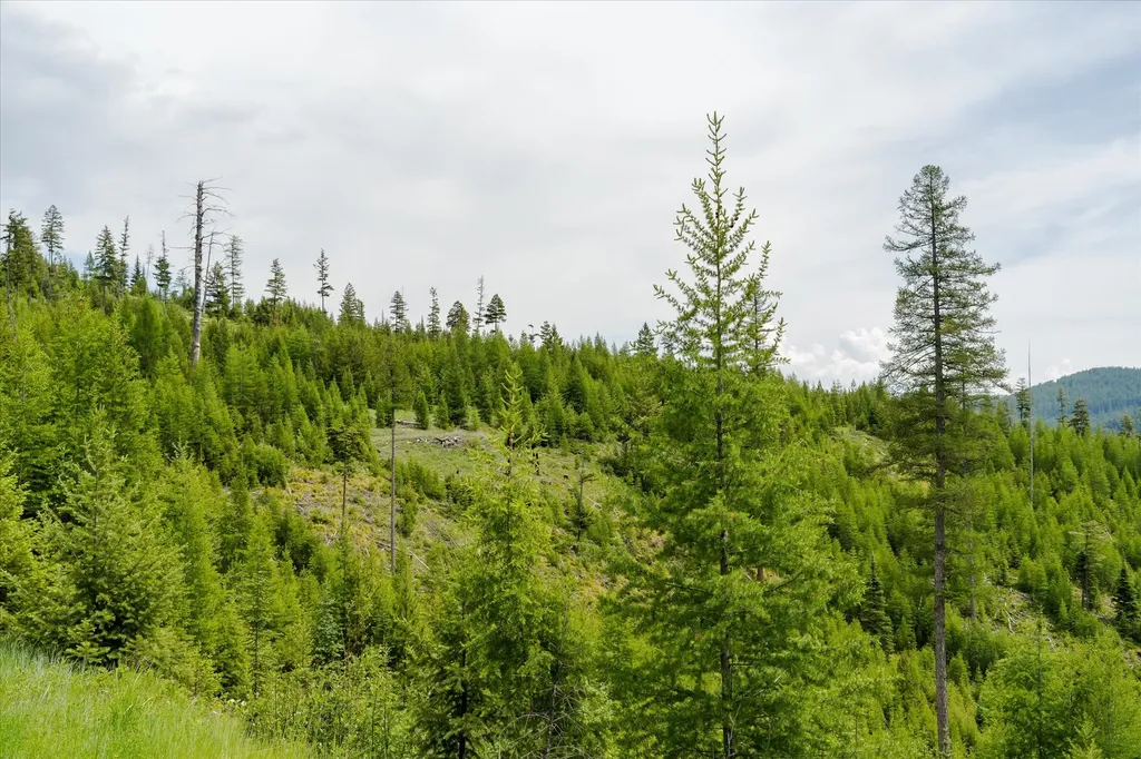 Nhn Fish Creek Road Kalispell MT 59901