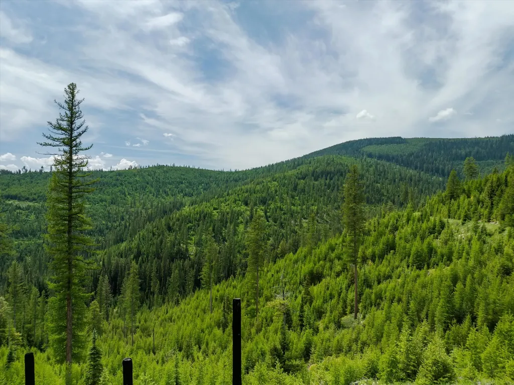 Nhn Fish Creek Road Kalispell MT 59901