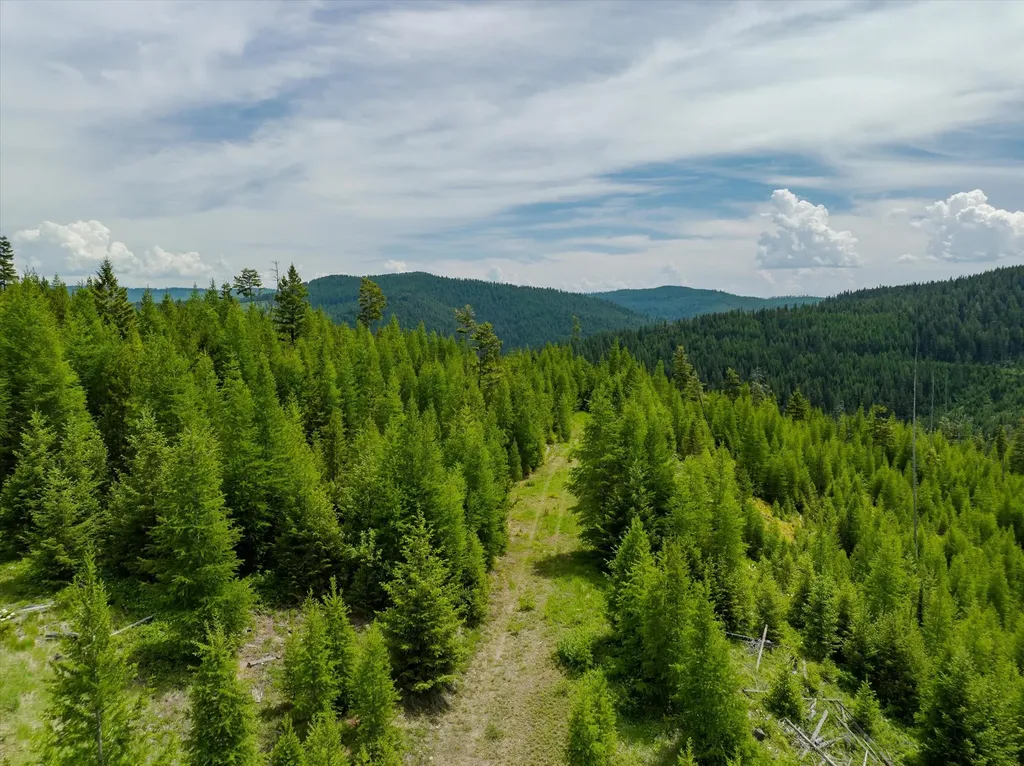 Nhn Fish Creek Road Kalispell MT 59901