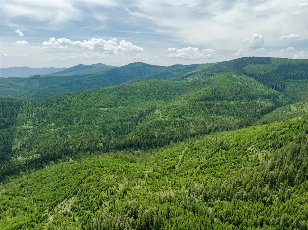 Nhn Fish Creek Road Kalispell MT 59901