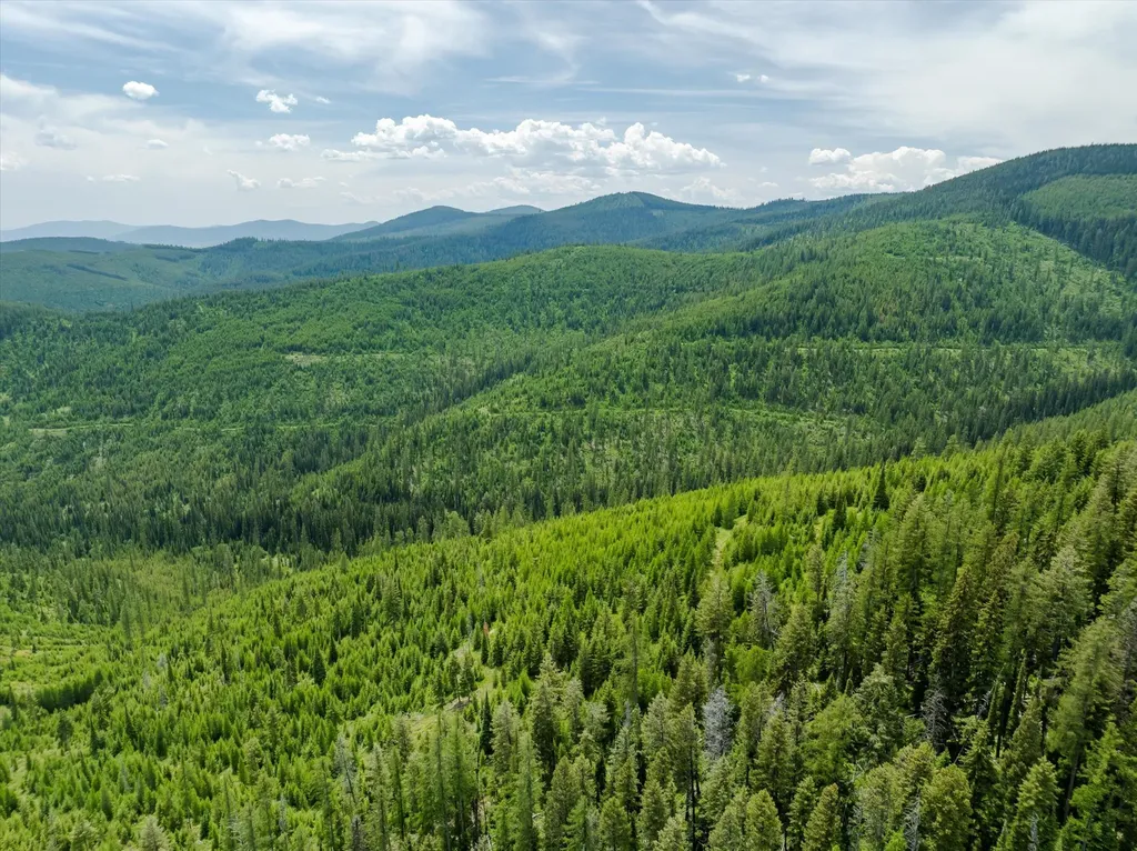 Nhn Fish Creek Road Kalispell MT 59901