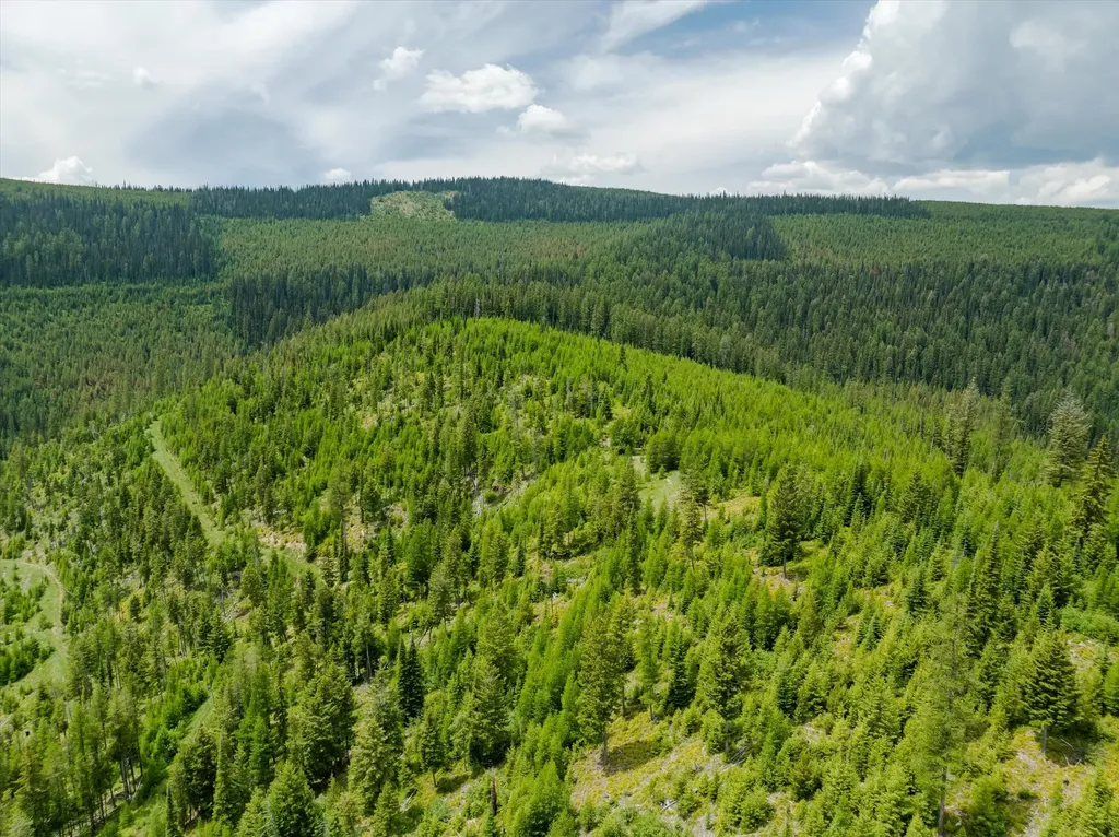 Nhn Fish Creek Road Kalispell MT 59901