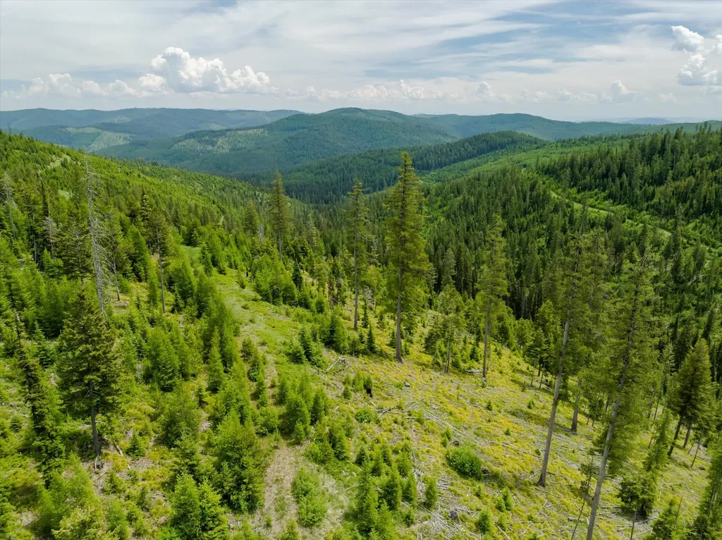 Nhn Fish Creek Road Kalispell MT 59901
