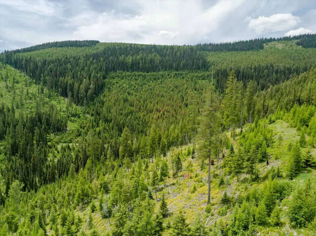 Nhn Fish Creek Road Kalispell MT 59901
