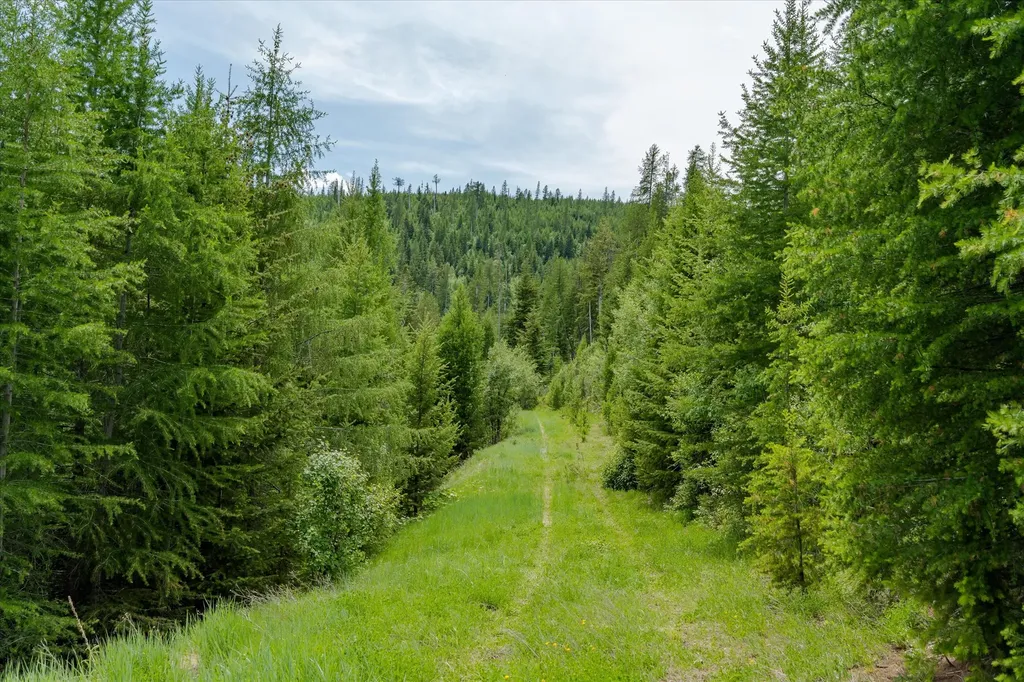Nhn Fish Creek Road Kalispell MT 59901