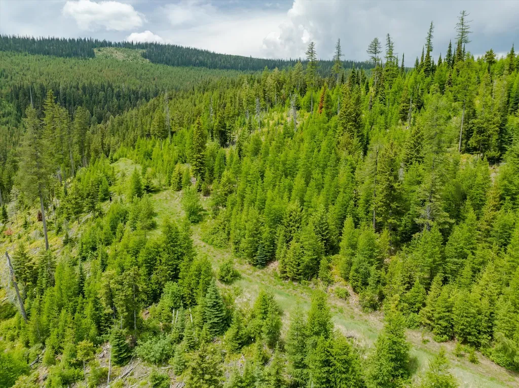 Nhn Fish Creek Road Kalispell MT 59901