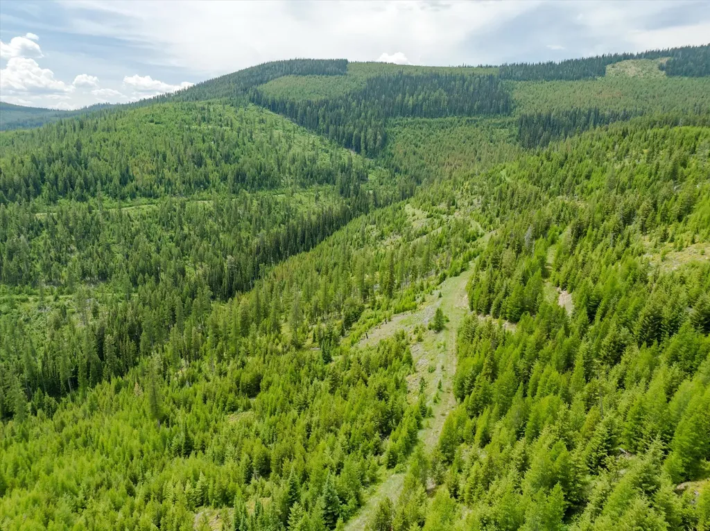 Nhn Fish Creek Road Kalispell MT 59901